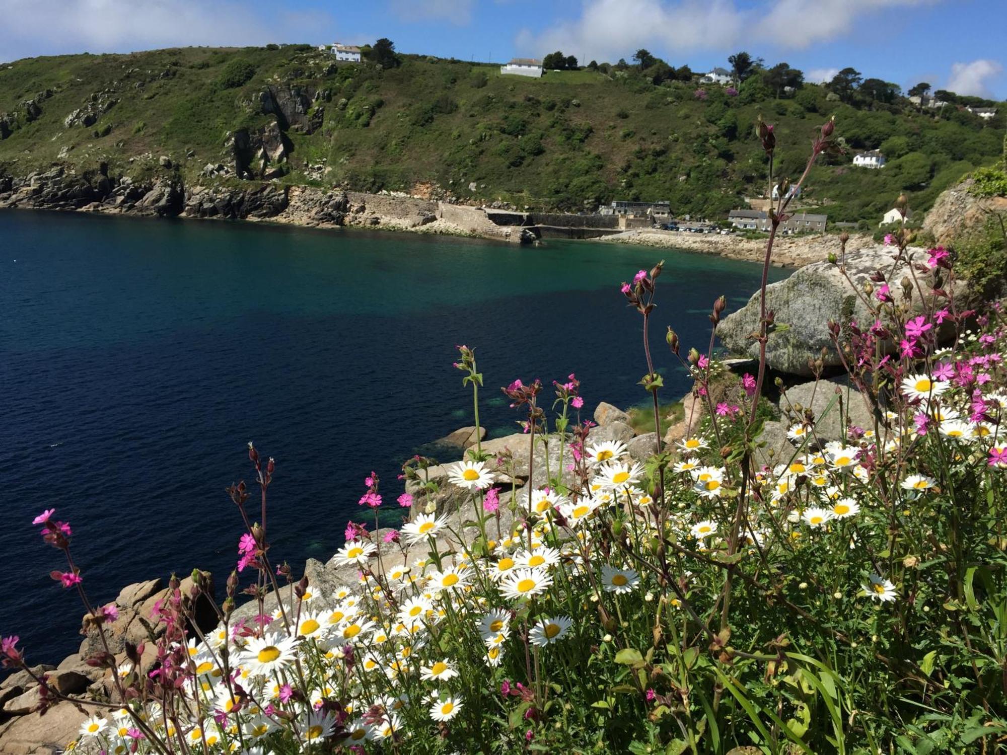 Roselands Caravan Park, Nr Lands End, Cornwall St Just Ngoại thất bức ảnh
